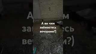 Вечір айтішника)