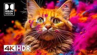 4K HDR Video ULTRA HD - Dolby Vision (120FPS)