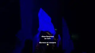 Плакат на концерте Брежневой