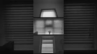 Windows - Merrez Bal, Jojin Van Winkle & Tal Garmiza