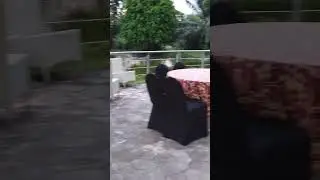 Resort Yang Romantis 