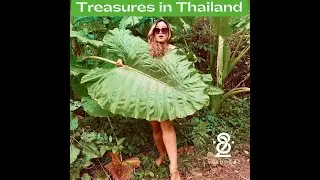 Thailand Socialite Talks Sex Workers, Culture & The Importance of Buddhist Monks. Story link below