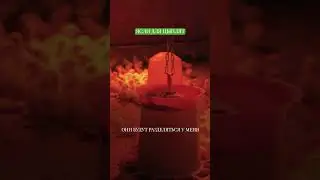 Где живут цыплята 