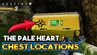 All Regional Chest Locations on The Pale Heart  - Destiny 2 Guide