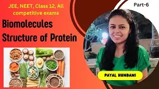 Biomolecules | Structure of Protein | Primary and Secondary Structure | Class 12 | JEE | NEET