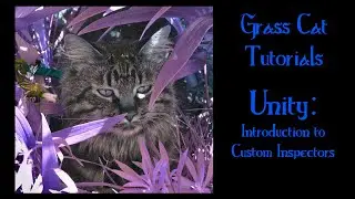 Unity 2020.2 - Introduction to Custom Inspectors