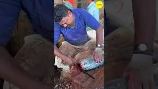 15KG BIG SEER FISH CUTTING KASIMEDU SELVAM #kasimeduselvam #shorts #bigfishcutting #youtube