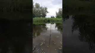 Рыбалка 40+ это подуше!
