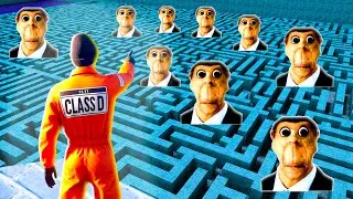 OBUNGA is chasing us in the maze in Garry's Mod NEXTBOT