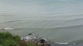 Lake Erie. 11.24.2021.