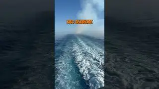 Día dos a bordo del MSC Seashore 🛳️