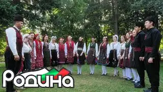 ЖФГ 