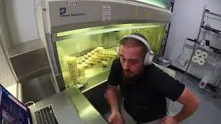 Hanging out in the flow hood! Doing cultures, agar and more