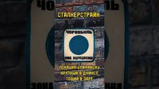 #сталкеры