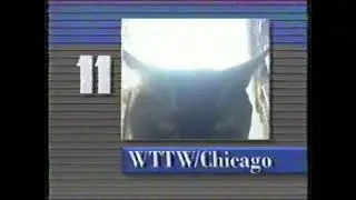 rare WTTW Station ID, cat variant