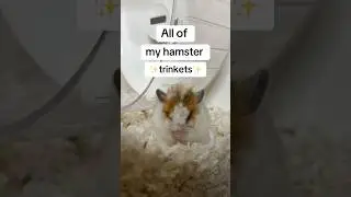 All of Hamster trinkets 