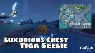 3 Seelie Location Luxurious Chest Evernight Temple Enkanomiya Genshin Impact