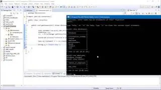 Insert and Update Query