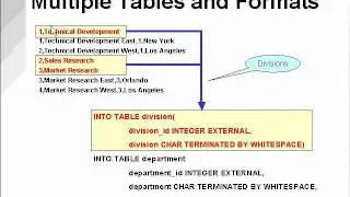 SQL Loader 6