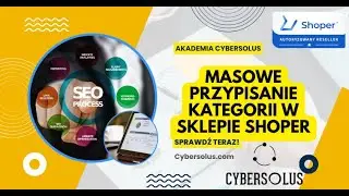 Masowe przypisywanie kategorii w Shoper - prosty sposób na zoptymalizowanie kategorii produktów