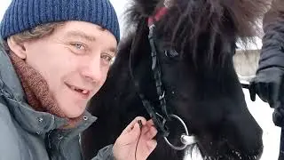 Веснушка! Кто желает покататься на пони? Электроугли, ждём!