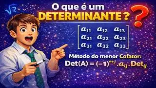 O que é um DETERMINANTE ?  What is a Determinant ?