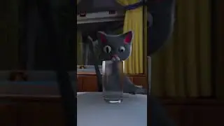 Cats at 3 am