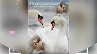 берегите чувства
