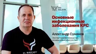 Major Infectious Diseases of Cattle — Alexander Suminov | EL BAYLYGY