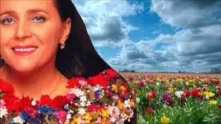 Чарівна скрипка   -   Ніна Матвіенко