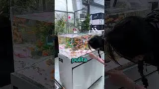 Ha per sbaglio pulito tutto l’acquario😳🤯