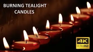 4K 10 Hours soft burning tealight candle flames