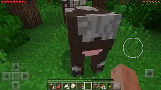 MINECRAFT POCKET EDITION VS MINECRAT LITE | MCPE ПРОТИВ MINECRAFT LITE - IOS Gameplay