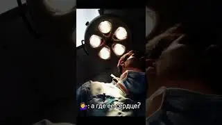 по просьбе, Кирилл Бледный (Пошлая Молли)