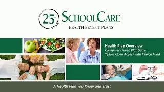 2021 Yellow Open Access Plan with Choice Fund Overview