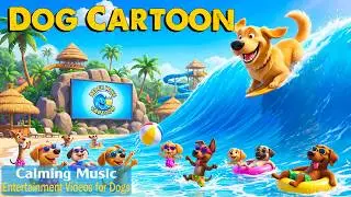 12 Hours Cartoon Dog TV 🐶 Puppies Playtime in the Pool | Cartoon for Bored Dogs to Watch Home Alone