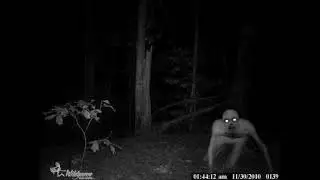 The Rake Sighting!?