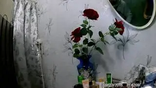Замена термостата часть 2