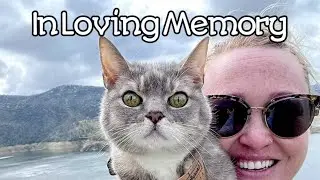 A Celebration Of Life For Her MADjesty