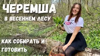 Как собирать и готовить черемшу. Едем на старенькой Ниве в лес