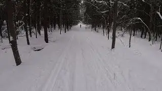 Парк Лосиный Остров