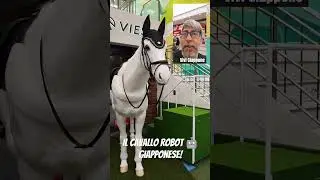 Giappone: cavallo Robot? #shorts #giappone #horse