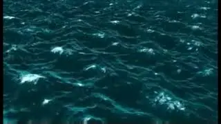 ah_astakhova Холодный ветер волну уносит, воспоминанья мои храня. Читает Илика