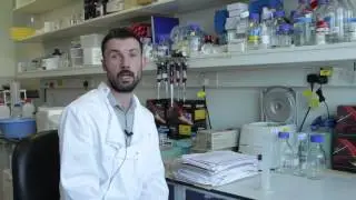 Neuron-specific antioxidant OXr1 extends survival of a mouse model of amyotrophic lateral sclerosis