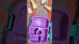 TIKTOK INSPIRED LUNCH #tik tok #tiktok #kidlunchideas #bellabooslunches #kidlunchideas #kidlunchbox