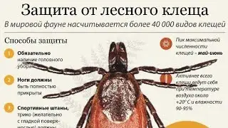КАК ЗАЩИТИТЬ СОБАКУ ОТ КЛЕЩЕЙ, БЛОХ?!
