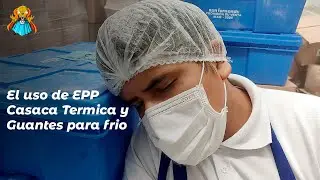 Corto ( USO DE EPP ) GUANTES DE FRIO - CASACA TERMICA
