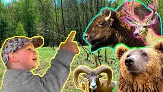 VLOG in the reserve | Sasha feeds the deer | Our first VLOG | Sasha in the park