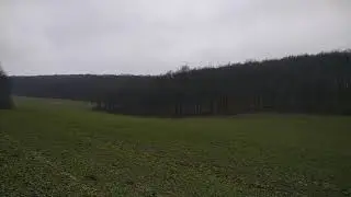 Трохи природи 😉