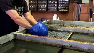 Hydrographics - Helmet Dip - The HydroFactory